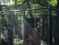 Groby w "klatkach - ogrodzeniu" - nowy cmentarz żydowski.