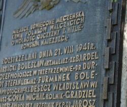 PAMIĘCI OFIAR EGZEKUCJI W BIEGONICACH - wykład w Domu Historii