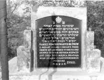 Pomnik znajdujący się w miejscu tragicznej egzekucji z sierpnia 1942 r. Fot. Yad Vashem. 